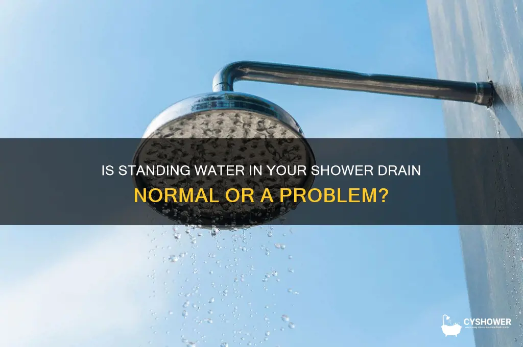 should ther be water in shower drain