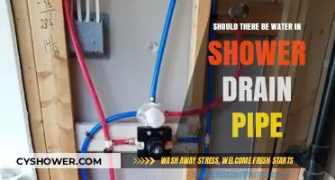 Should Shower Drain Pipes Always Have Standing Water? Explained