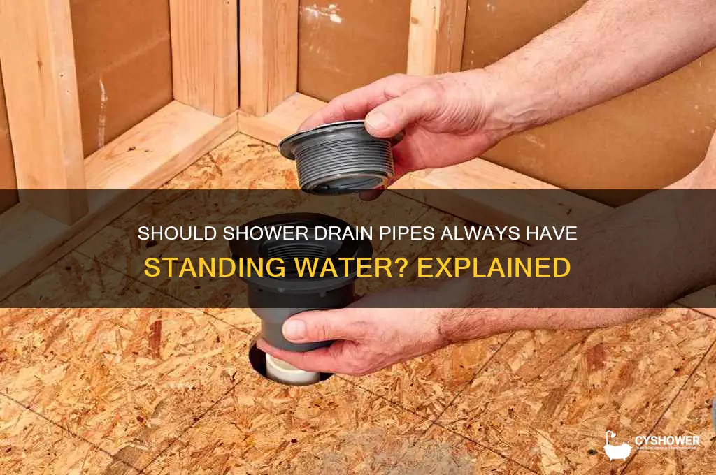 should there be water in shower drain pipe
