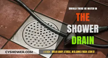 Is Standing Water in Your Shower Drain Normal or a Problem?