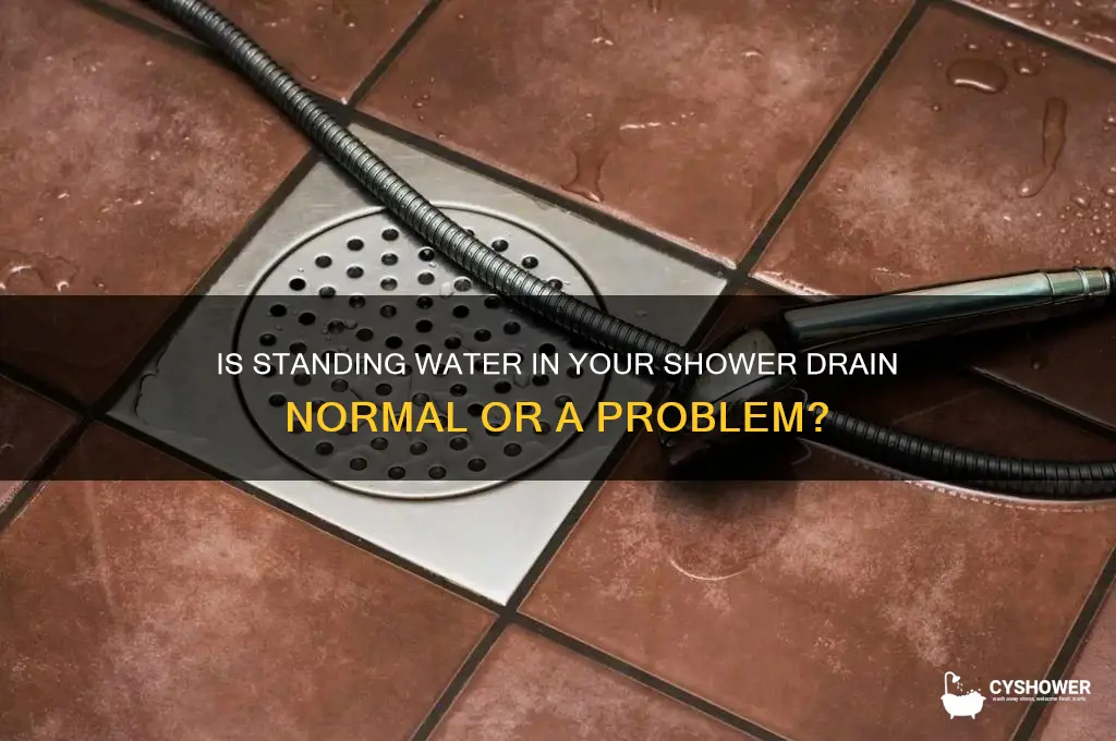 should there be water in the shower drain