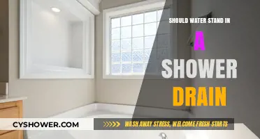 Is Standing Water in Your Shower Drain Normal or a Problem?