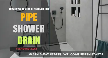 Visible Water in Shower Drain: Normal or Plumbing Issue?