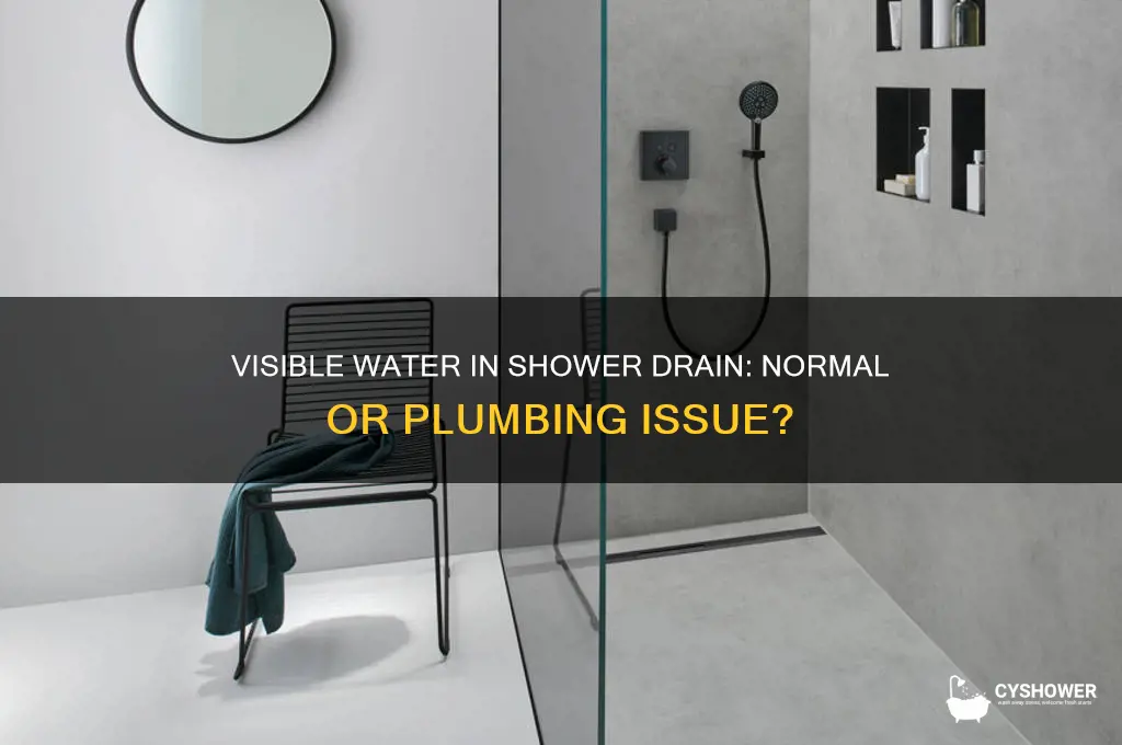 should water still be visible in the pipe shower drain