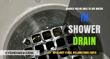 Is Standing Water in Your Shower Drain Normal or a Red Flag?