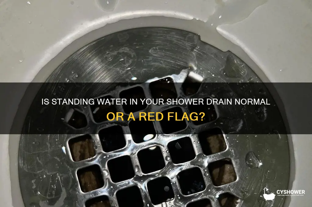 should you be able to see water in shower drain