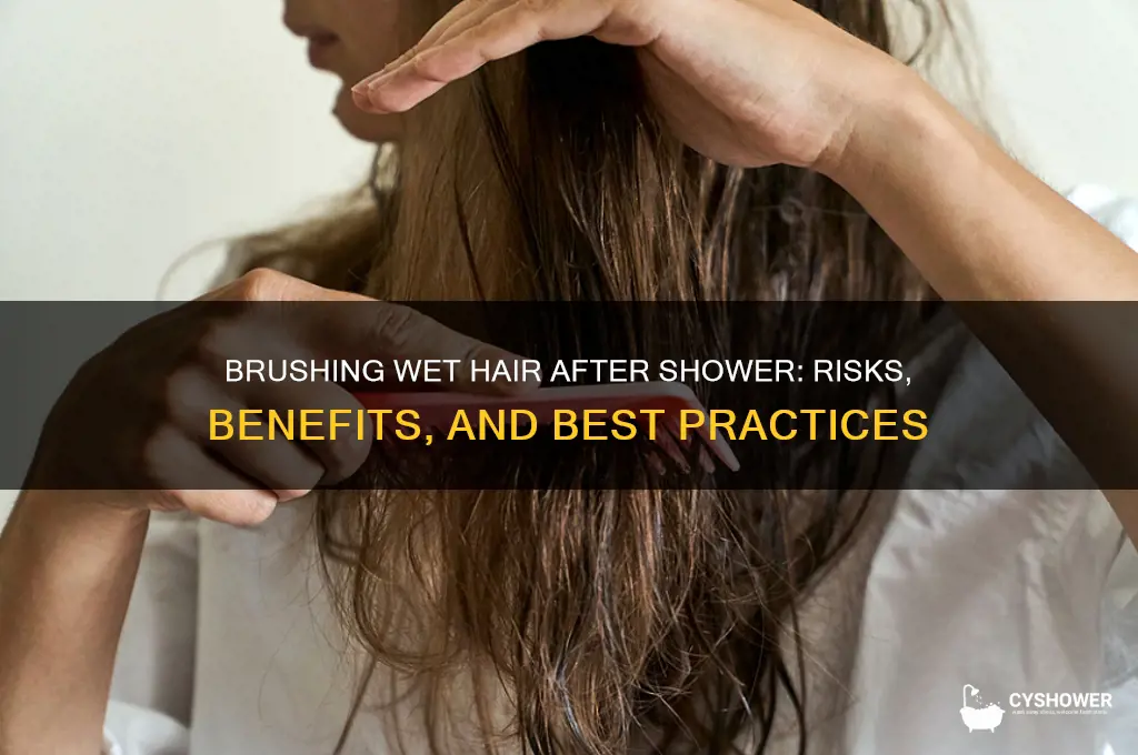 should you brush wet hair after shower