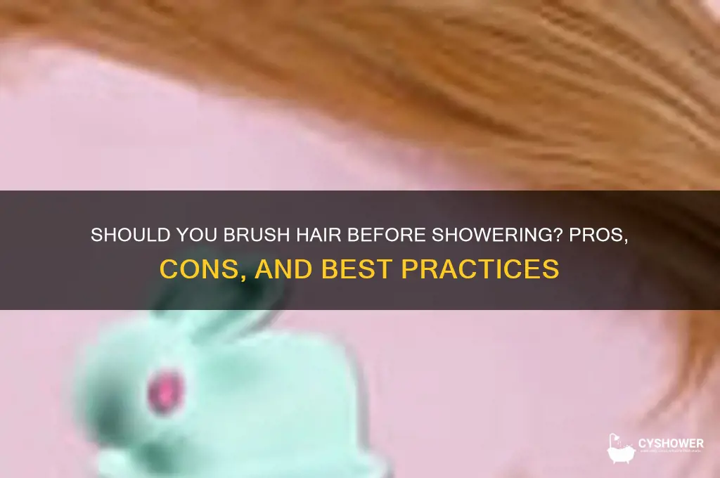should you brush your hair before you take a shower