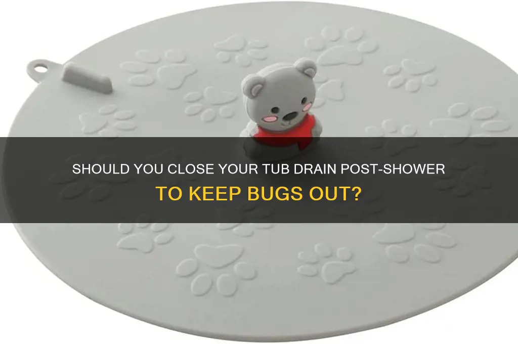 should you close tub drain after shower to prevent bugs