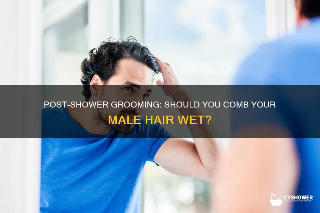 should you comb hair after shower for mals