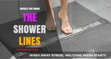 Should You Drain Shower Lines? Pros, Cons, and Maintenance Tips