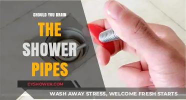 Should You Drain Shower Pipes? Maintenance Tips for Optimal Performance