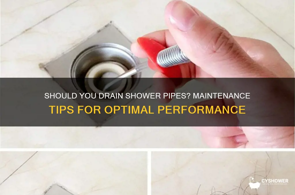 should you drain the shower pipes