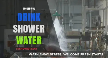 Is Shower Water Safe to Drink? Risks and Considerations Explained