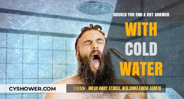 Cold Shower Finish: Benefits and Drawbacks of Ending Hot Showers Chilly