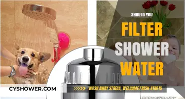 Should You Filter Shower Water? Pros, Cons, and Health Benefits