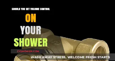 Enhance Your Shower Experience: Is Volume Control Worth the Upgrade?