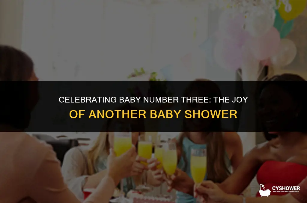 should you have a baby shower for a third child