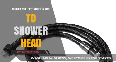 Should You Leave Water in Your Shower Head Pipe?