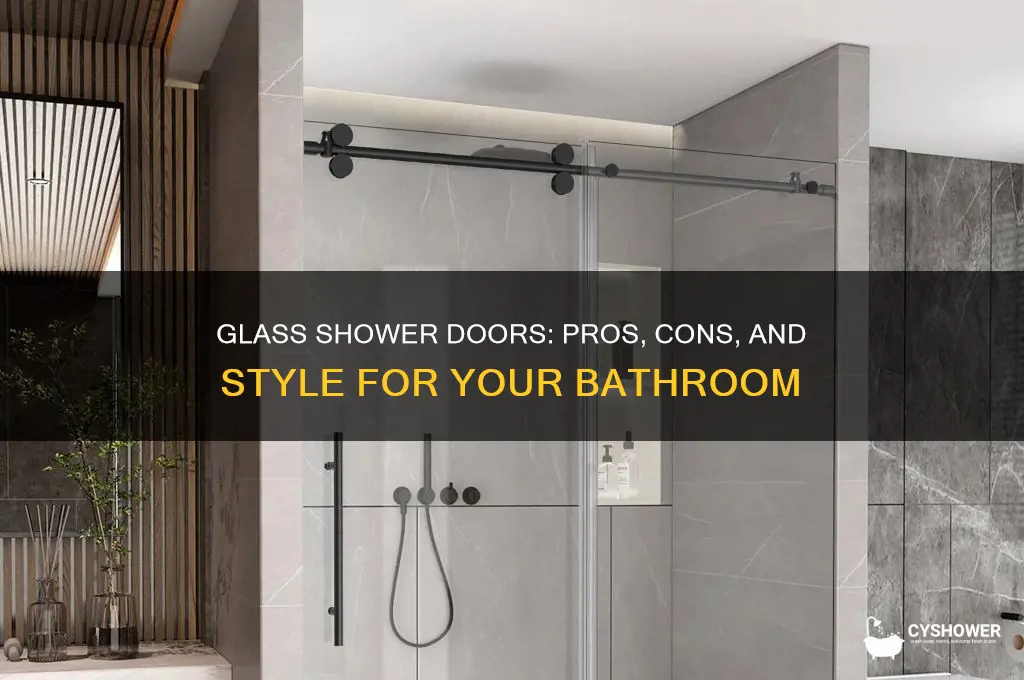 should you put a glass door on you shower door