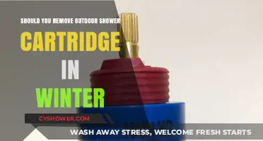Winterizing Outdoor Showers: To Remove Cartridge or Not?