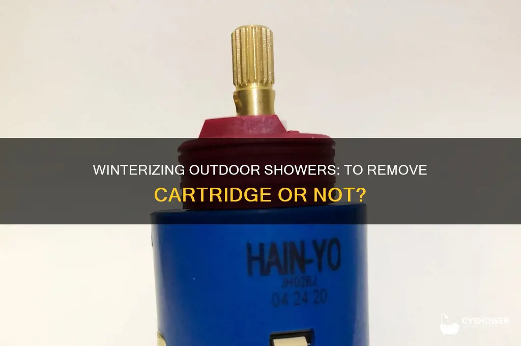 should you remove outdoor shower cartridge in winter