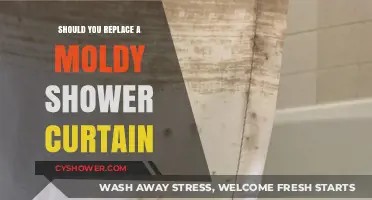 Moldy Shower Curtain: Replace or Clean? Expert Advice for a Healthy Bathroom