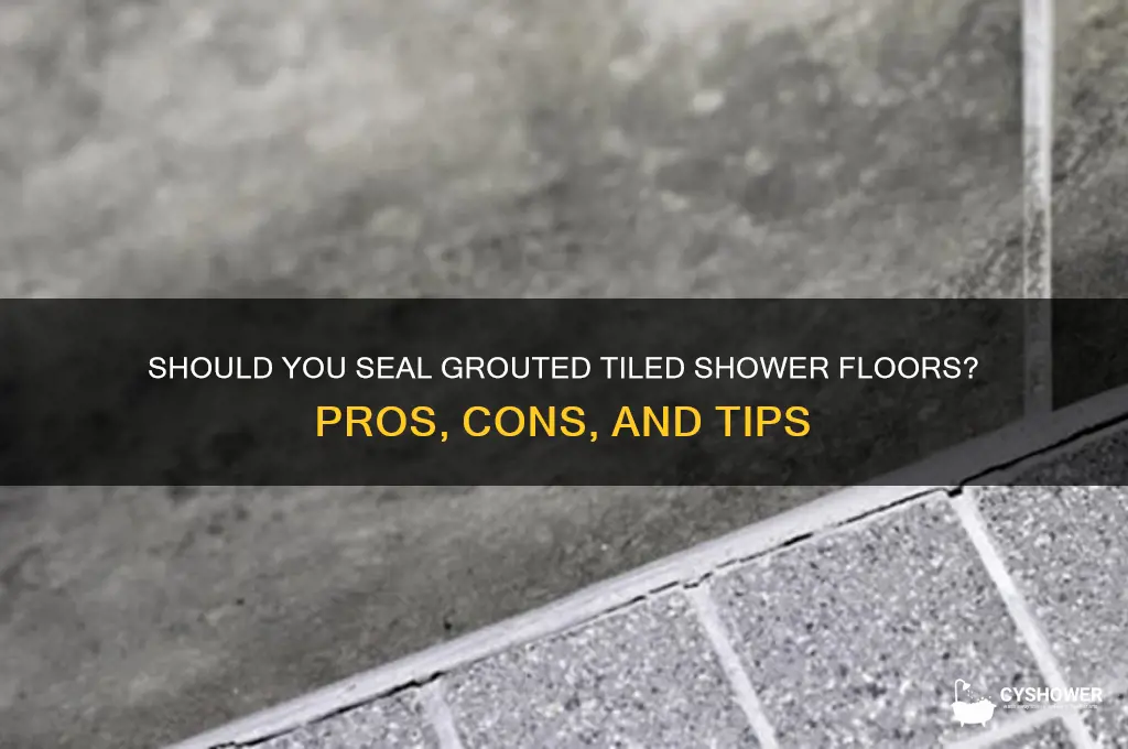should you seal grouted tiled shower floor