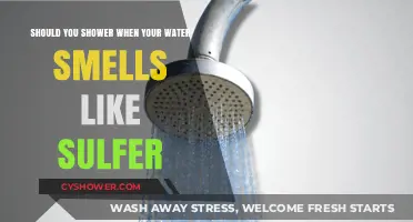 Sulfer Smell in Water: Should You Shower or Avoid It?