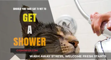 Should You Take Your Cat to the Vet for a Shower?