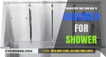 Should You Take Your Dog to a Groomer for a Shower?