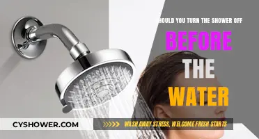 Should You Turn Off the Shower Before the Water Stops?