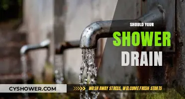 Should Your Shower Drain? Clearing Clogs and Maintenance Tips