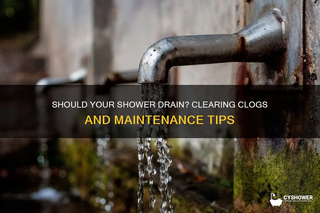 should your shower drain