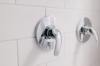 shower clean