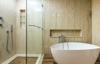 shower clean