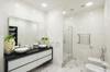shower clean