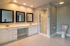 shower clean