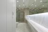 shower clean