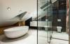 shower clean