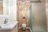 shower clean
