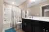 shower curtain