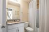 shower curtain