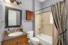 shower curtain