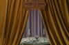 shower curtain