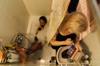 shower head