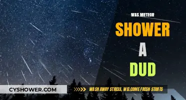Disappointing Meteor Shower: Was the Celestial Spectacle a Dud?