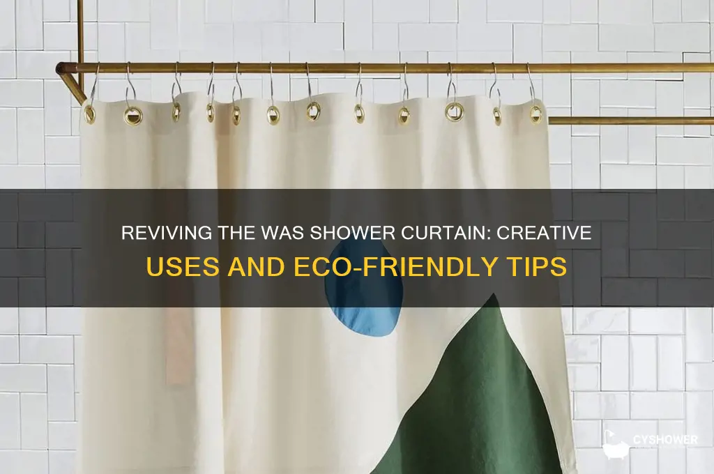 was shower curtain