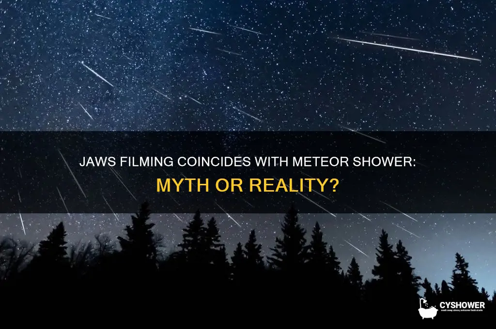 was there a meteor shower during the filming of jaws