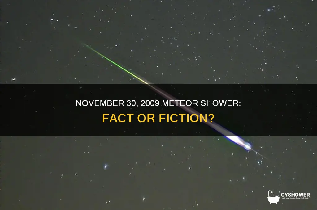 was there a meteor shower on november 30 2009